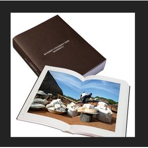 Mandioca--Manihot-utilissima-Pohl