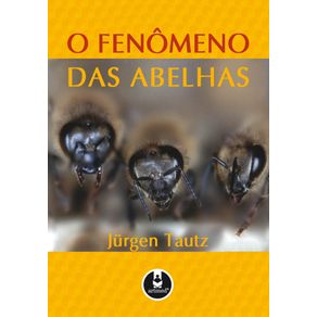 O-Fenomeno-das-Abelhas