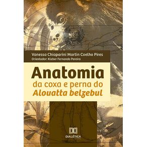 Anatomia-da-coxa-e-perna-do-Alouatta-belzebul