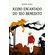 Reino-Encantado-do-Seo-Benedito