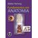 Fundamentos-em-Anatomia