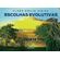 Escolhas-Evolutivas--120-Opcoes-para-Reflexao-e-Expansao-das-Ideias