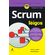 Scrum-para-leigos