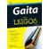 Gaita-para-leigos