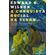 A-conquista-social-da-terra