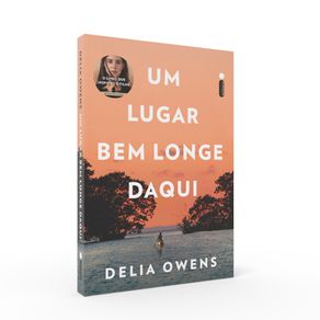 Um-Lugar-Bem-Longe-Daqui--O-livro-que-inspirou-o-filme-Um-lugar-bem-longe-daqui-