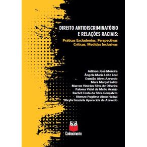 Direito-antidiscriminatorio-e-relacoes-raciais---Praticas-excludentes-perspectivas-criticas-medidas-inclusivas