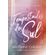 Tempestades-do-sul--Vol.-1-Serie-Bussola-
