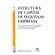Estrutura-de-capital-de-pequenas-empresas---Como-os-gestores-de-empresas-brasileiras-nao-listadas-tomam-suas-decisoes-de-estrutura-de-custo-de-capital