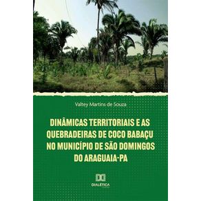 Dinamicas-territoriais-e-as-quebradeiras-de-coco-babacu-no-Municipio-de-Sao-Domingos-do-Araguaia-PA