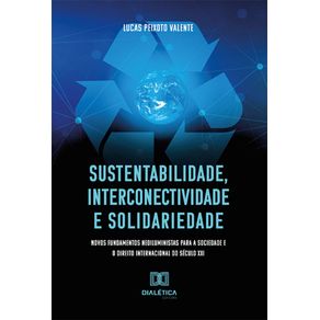 Sustentabilidade,-interconectividade-e-solidariedade---novos-fundamentos-neoiluministas-para-a-Sociedade-e-o-Direito-Internacional-do-seculo-XXI