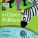 As-Cores-da-Zebra