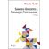 Saberes-docentes-e-formacao-profissional
