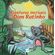 Aventuras-incriveis-do-Dom-Ratinho