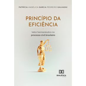 Principio-da-eficiencia---Vetor-hermeneutico-no-processo-civil-brasileiro
