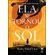 Ela-se-tornou-o-Sol