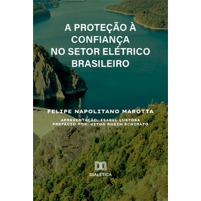 A-Protecao-a-Confianca-no-Setor-Eletrico-Brasileiro