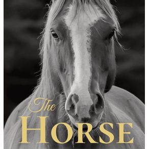 The-Horse