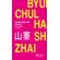 Shanzhai