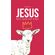 Jesus-nao-e-quem-voce-pensa