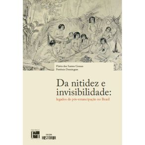 Da-nitidez-e-Invisibilidade---Legados-do-pos-emancipacao-no-Brasil