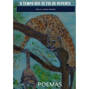 O-Tempo-Que-Se-Foi-De-Repente