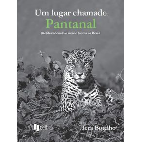 Um-lugar-chamado-Pantanal---re-descobrindo-o-menor-bioma-do-Brasil