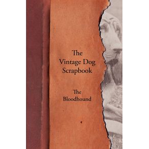 The-Vintage-Dog-Scrapbook---The-Bloodhound