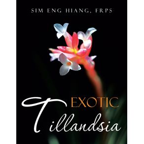 Exotic-Tillandsia