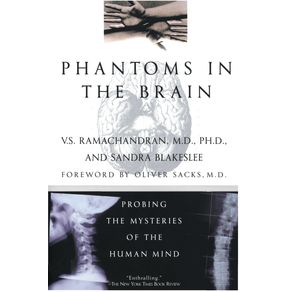 Phantoms-in-the-Brain
