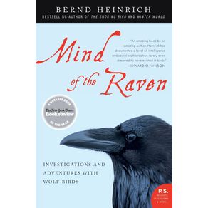 Mind-of-the-Raven
