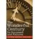 The-Wonderful-Century