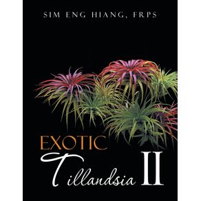 Exotic-Tillandsia-II