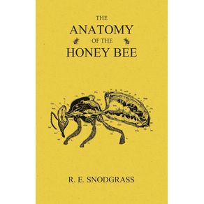 The-Anatomy-of-the-Honey-Bee