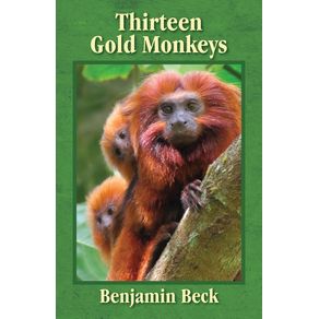 Thirteen-Gold-Monkeys