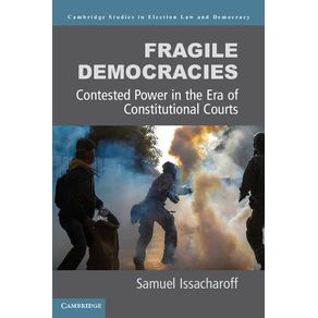 Fragile-Democracies