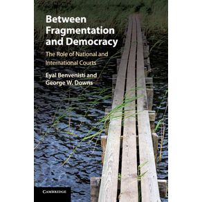 Between-Fragmentation-and-Democracy
