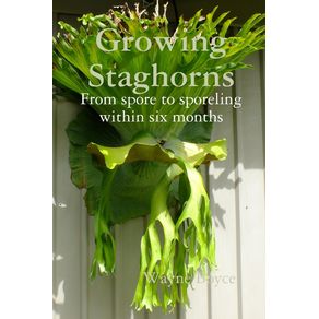 Growing-Staghorns-from-Spore