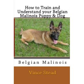 How-to-Train-and-Understand-Your-Belgian-Malinois-Puppy---Dog
