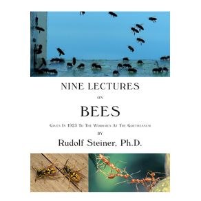 Nine-Lectures-on-Bees