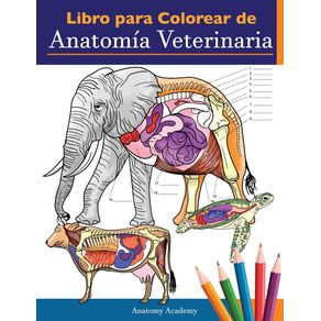 Libro-para-colorear-de-anatomia-veterinaria