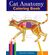 Cat-Anatomy-Coloring-Book