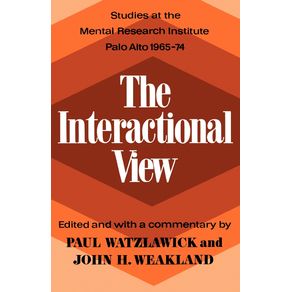The-Interactional-View