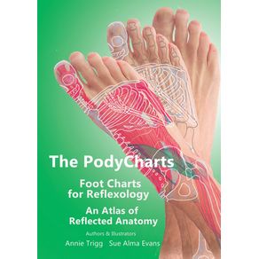 The-PodyCharts-Foot-Charts-for-Reflexology