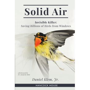Solid-Air