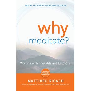 Why-Meditate