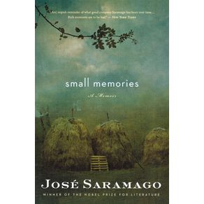 Small-Memories