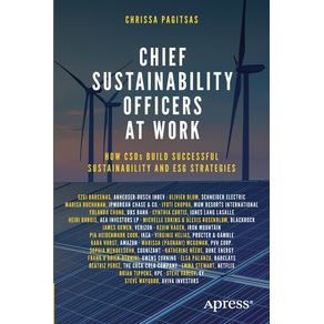Chief-Sustainability-Officers-At-Work