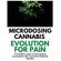 Microdosing-Cannabis-Evolution-for-Pain