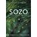 SOZO-Saved-Healed-Delivered